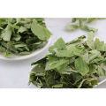 Oem Bulk Price Horny Goat Weed Epimedium Extracto Icariin